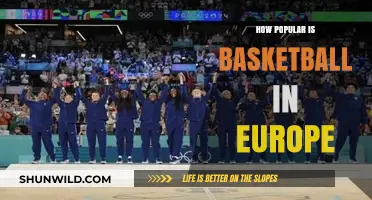 Basketball's Popularity in Europe: A Rising Sport