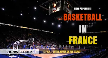 Basketball in France: A Popular Sport?