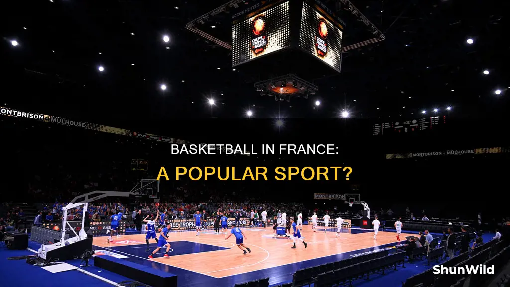 how popular is basketball in france