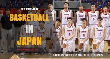 Basketball in Japan: A Rising Sport?