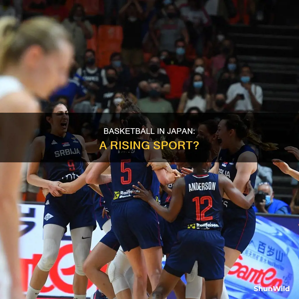 how popular is basketball in japan