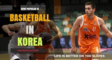 Basketball in Korea: A Rising Sport Sensation