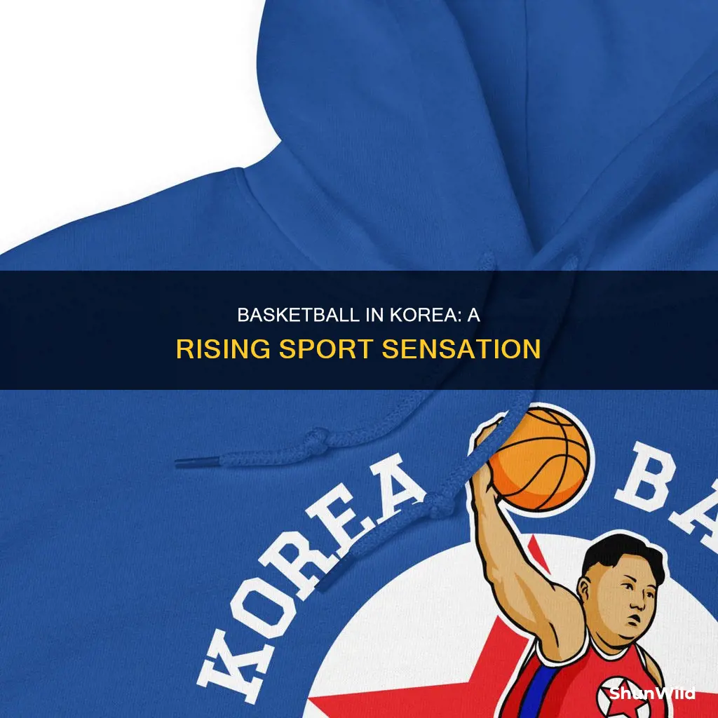 how popular is basketball in korea