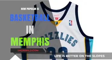 Basketball's Big in Memphis: A Southern Hotspot