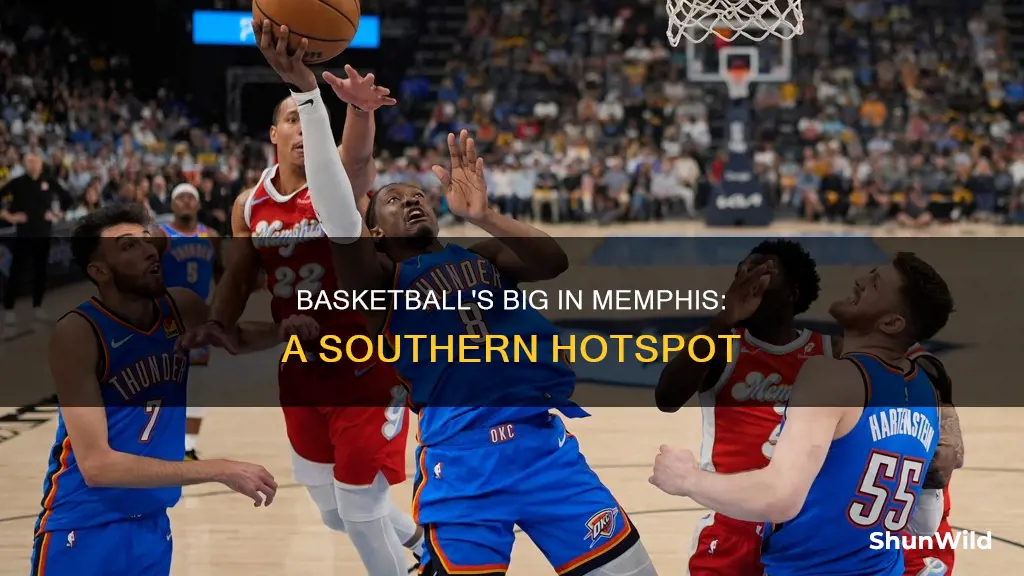 how popular is basketball in memphis