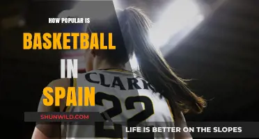 Basketball in Spain: A Cultural Phenomenon