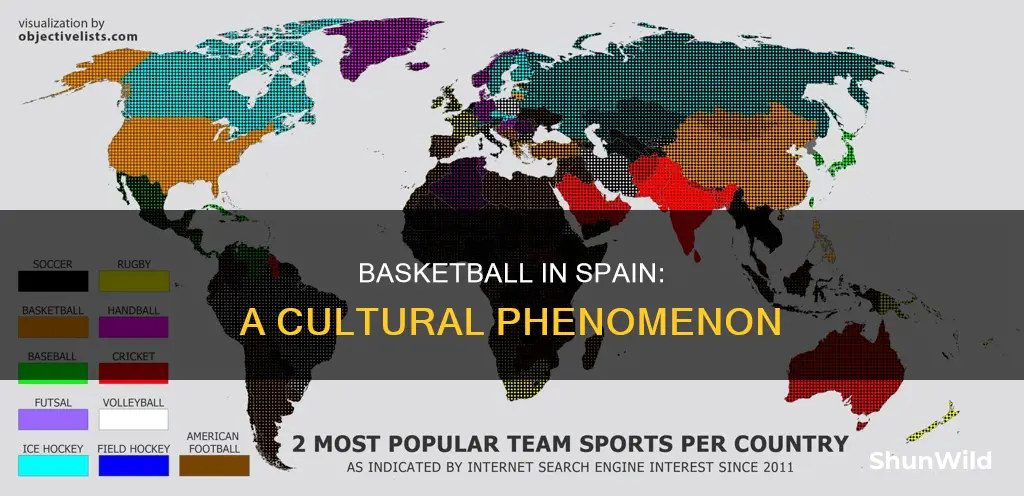 how popular is basketball in spain