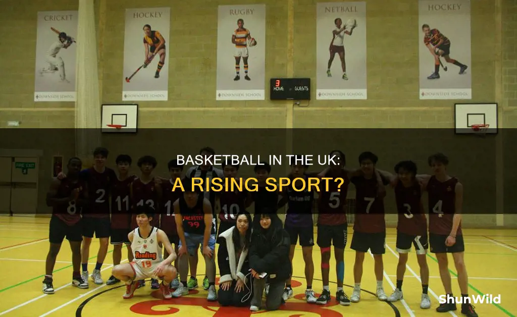 how popular is basketball in the uk