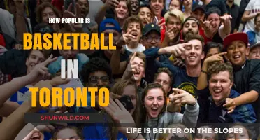 The Raptors Effect: Basketball's Rise in Toronto