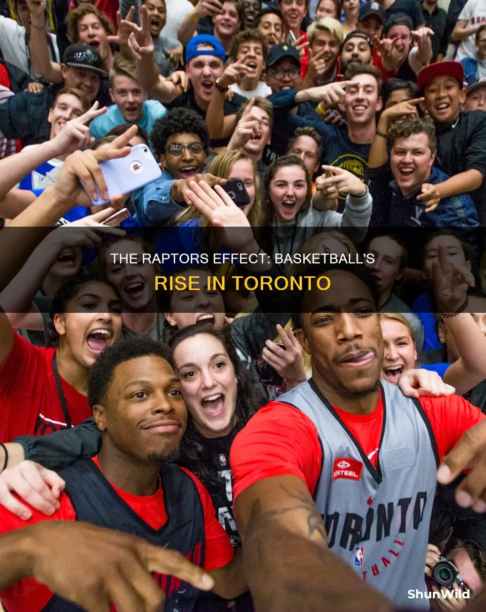 how popular is basketball in toronto