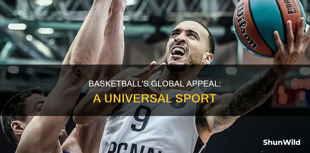 how popular is basketball