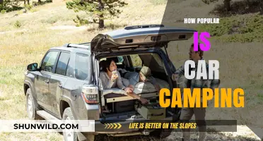 Car Camping Craze: Exploring Its Rising Popularity and Outdoor Appeal