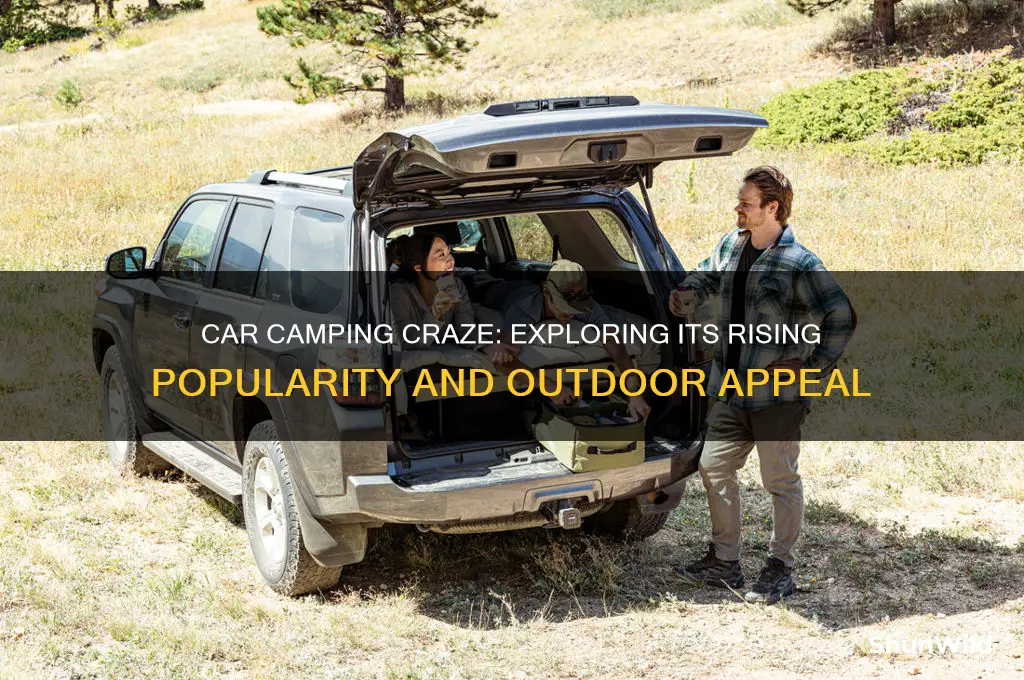 how popular is car camping