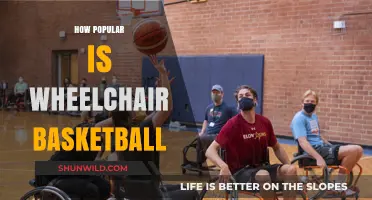 Wheelchair Basketball: A Rising Sport Sensation