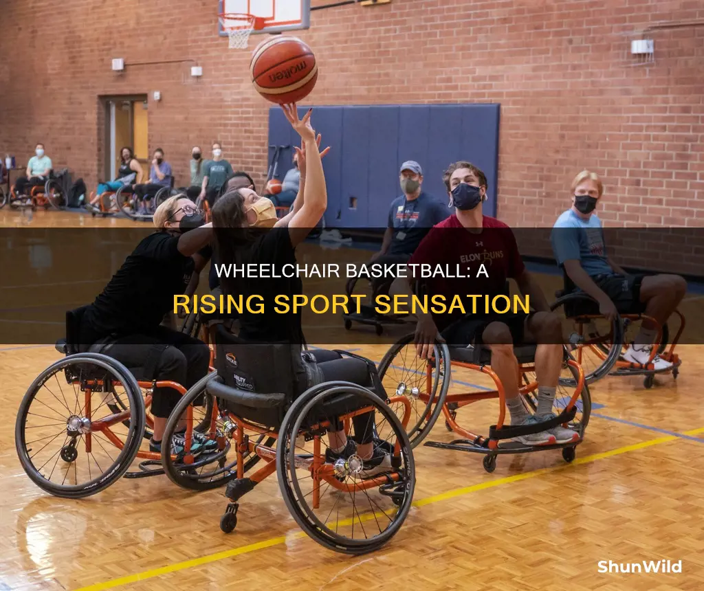 how popular is wheelchair basketball