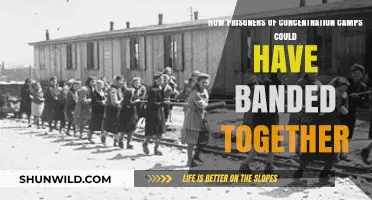 Unity in Darkness: How Concentration Camp Prisoners Formed Bonds of Resistance