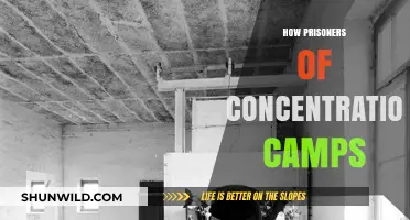 Surviving the Unimaginable: Life Inside Concentration Camps