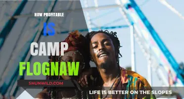 Exploring Camp Flog Gnaw's Profitability: A Comprehensive Financial Analysis