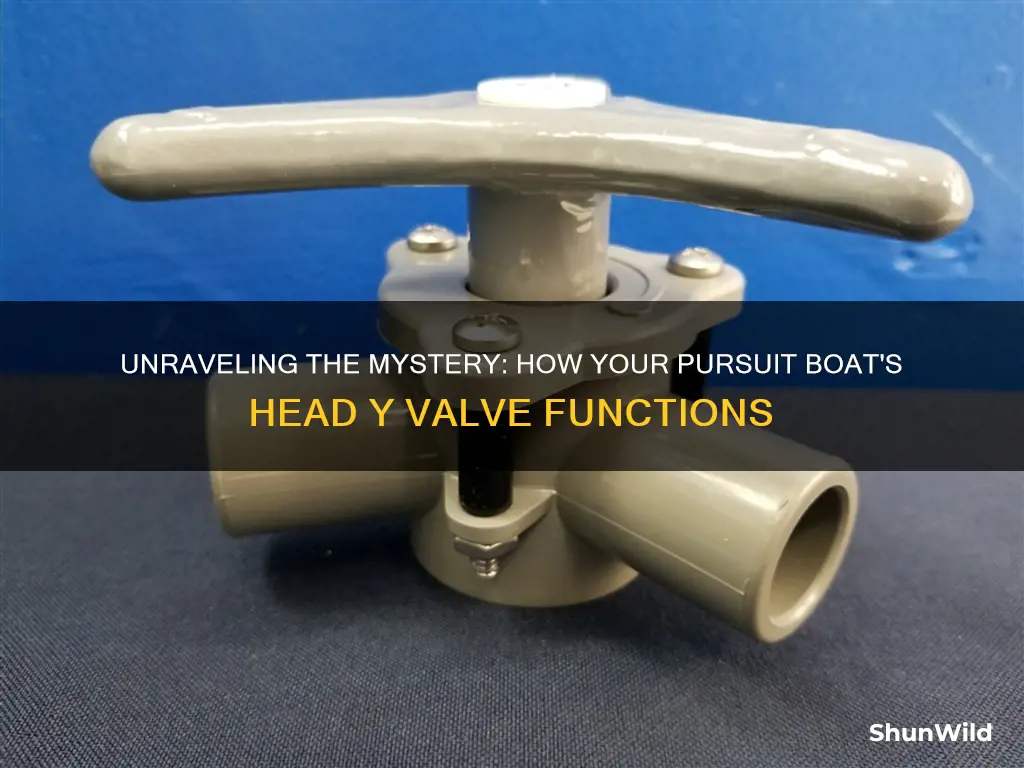 how pursuit boat head y valve works