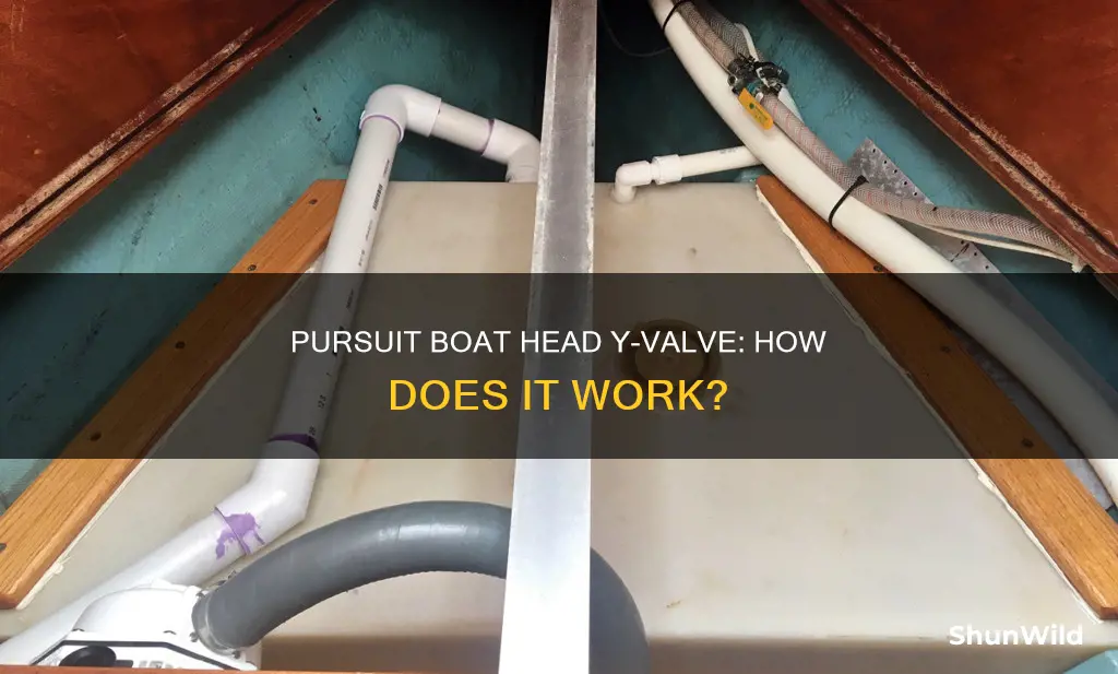 how pursuit boat head y valve works