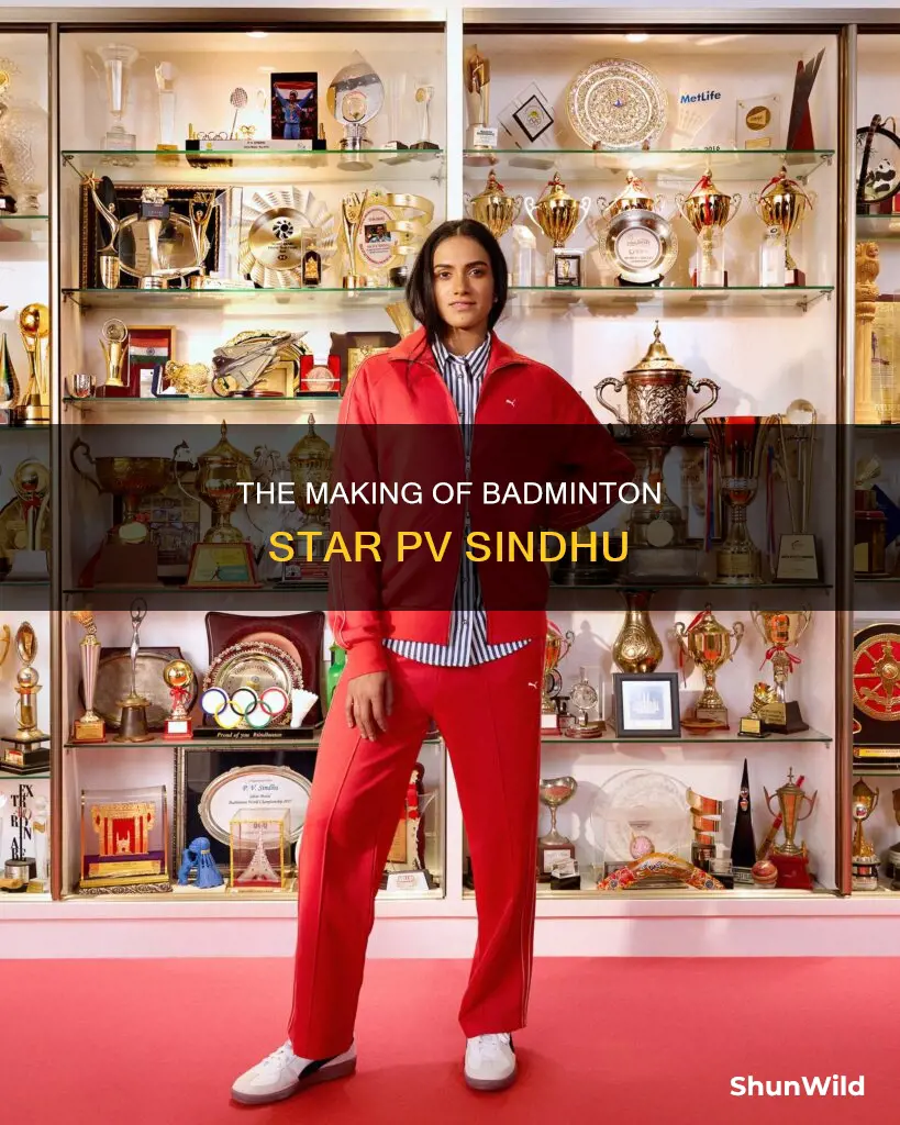 how pv sindhu became badminton player