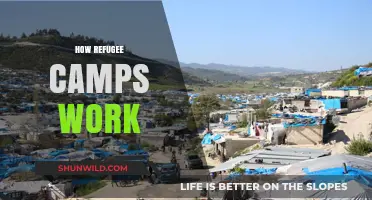 Understanding Refugee Camps: Operations, Challenges, and Community Life Explained