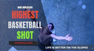 Sky-High Hoops: Unbelievable Basketball Shot Records