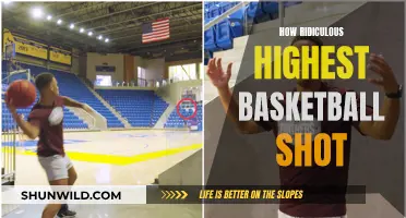 Crazy High Basketball Shots: How Ridiculous is Too Ridiculous?