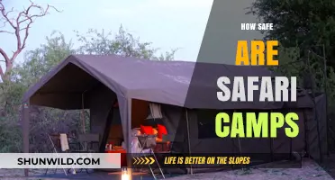 Exploring Wildlife: Safety Measures in Safari Camps Revealed
