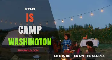 Exploring Camp Washington: Safety Concerns and Community Insights Revealed