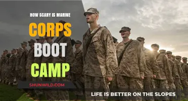 Marine Corps Boot Camp: Unveiling the Intensity and Fear Factor