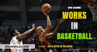 Understanding Basketball Scoring: Points, Rules, and Strategy