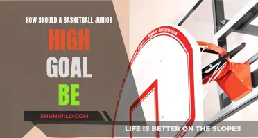 The Perfect Junior High Basketball Goal