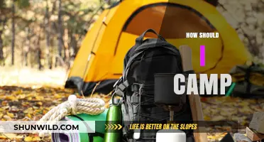 Essential Camping Tips: Gear, Safety, and Outdoor Adventure Basics