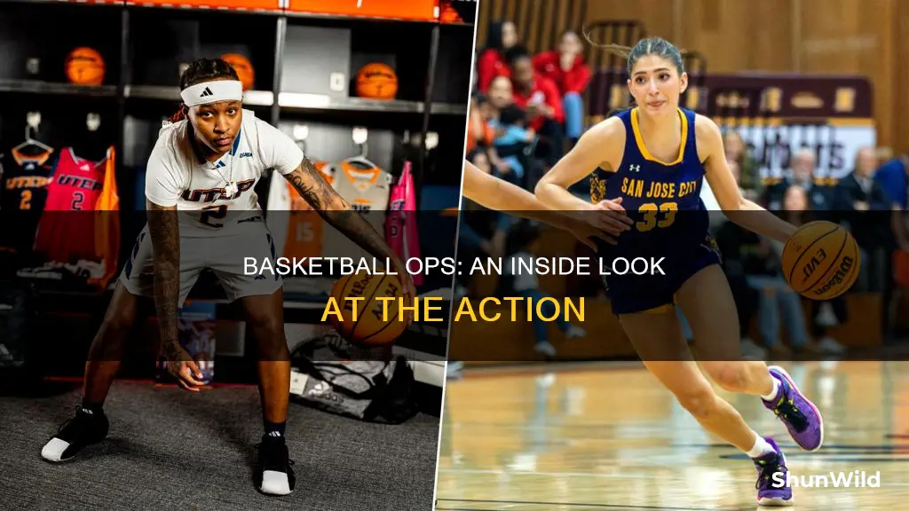 how si it working in basketball operations