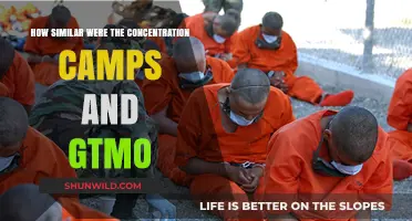 Comparing Guantanamo Bay and Concentration Camps: Parallels and Differences