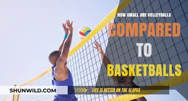 Volleyballs vs Basketballs: A Size Comparison