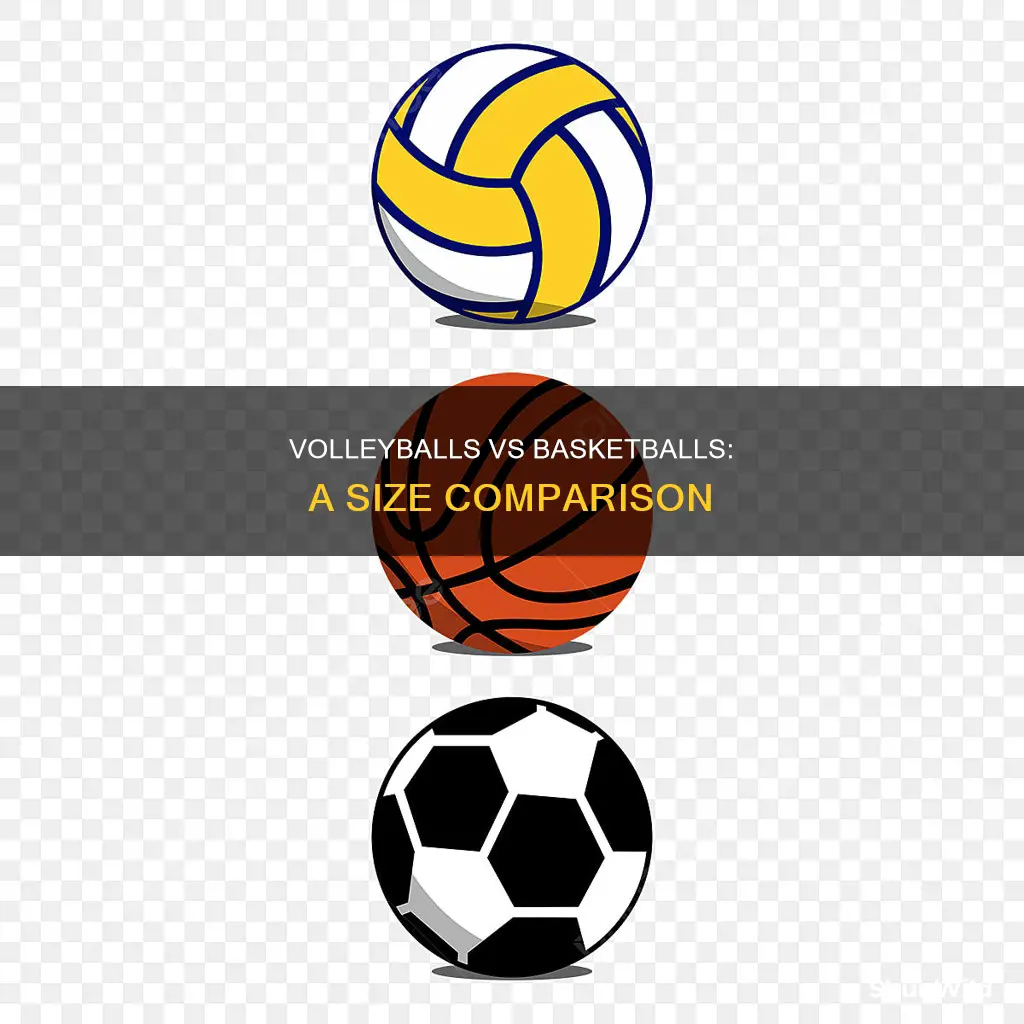 how small are volleyballs compared to basketballs