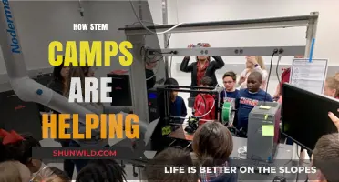 STEM Camps: Empowering Young Minds for Future Innovation and Success