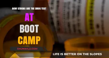 Drug Tests at Boot Camp: How Rigorous Are They Really?