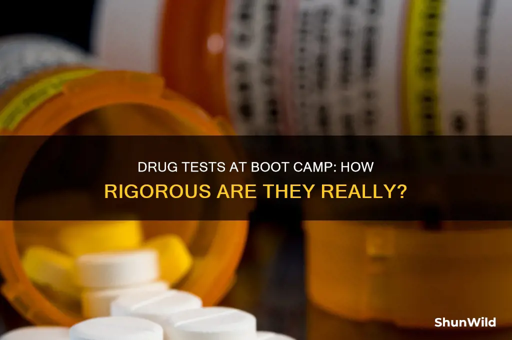 how strong are the drug test at boot camp