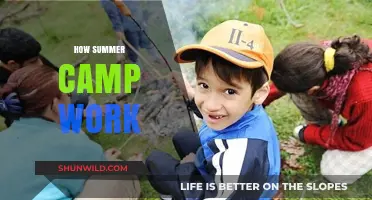How Summer Camps Operate: A Comprehensive Guide for Parents