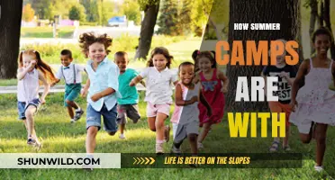 Summer Camps: Fun, Learning, and Adventure for Kids