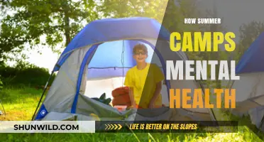 Summer Camps: Boosting Mental Health and Building Resilience in Youth