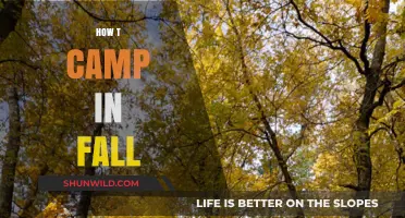 Fall Camping Essentials: Tips for a Cozy Autumn Outdoor Adventure