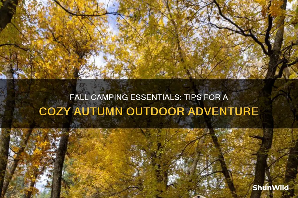 how t camp in fall