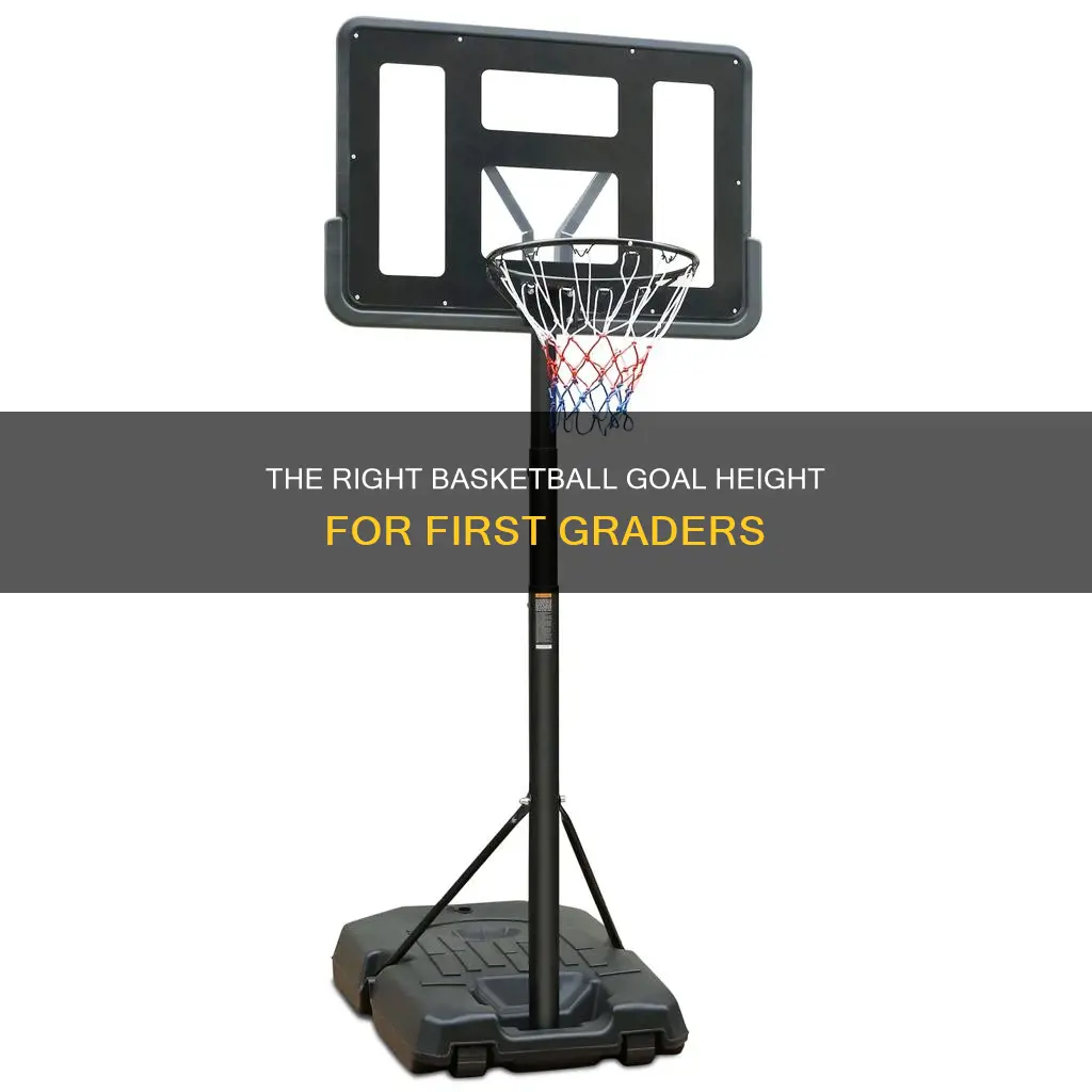 how tall are basketball goals for 1st graders