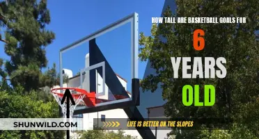 Basketball Goals for Young Shooters: Height Guide