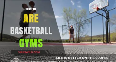 Height of Basketball Gyms: How Tall Are They?