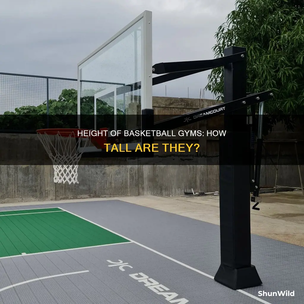 how tall are basketball gyms